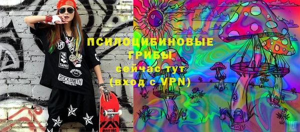 дурь Алексеевка