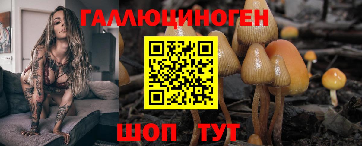 Алушта  Галлюциногенные грибы Cubensis  Вход с VPN  Галлюциногенные грибы Psilocybine cubensis 